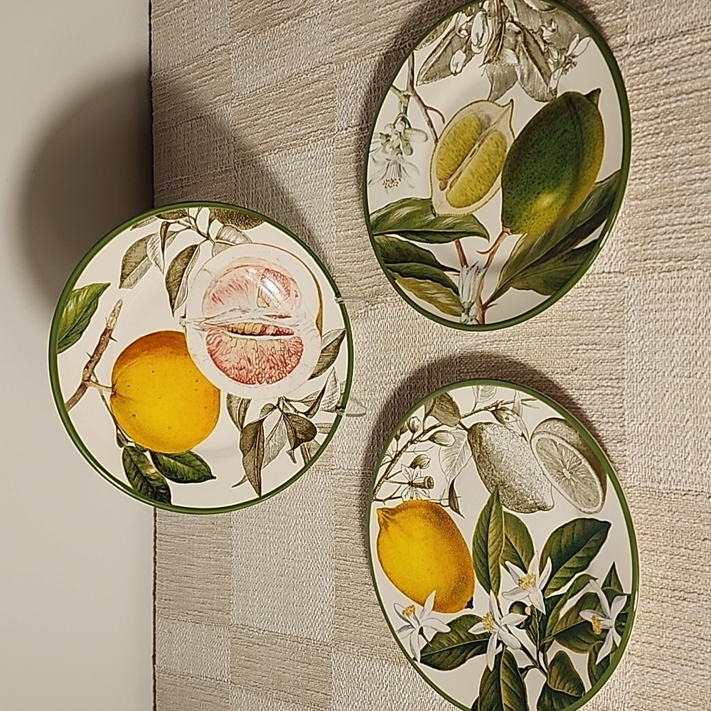 Williams Sonoma Botanical Citrus Design Salad Plates Set Of 3